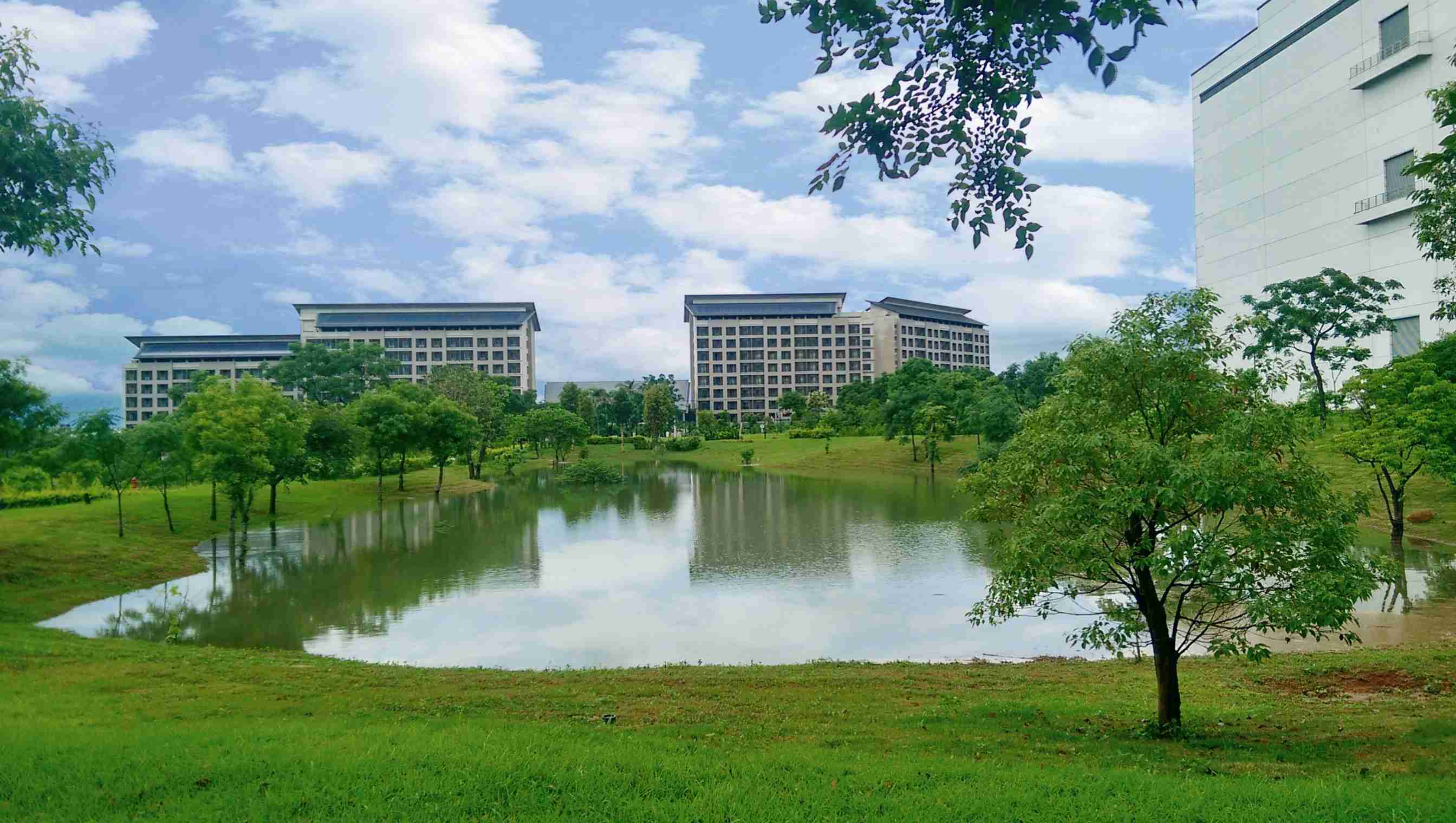 开云电子响应国际倡议生物多样性趋势，，，首次发布TNFD自然相关财务揭露报告书，，，，擘划及开展开云电子生物多样性政策之承诺，，，逐步迈向与自然和谐共生